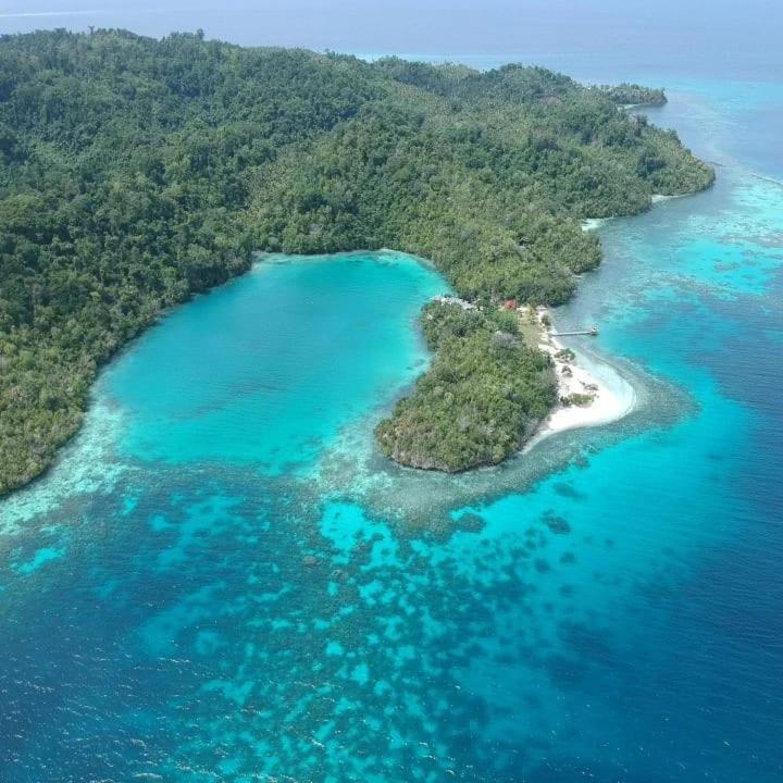 Lestari Kododa